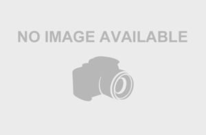 995005 - Bolt M16x240 10.9 Hex Fing