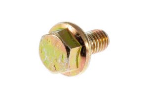 20730858 - SCREW,E 06x1.00 012 8-8   deviation electrolytic