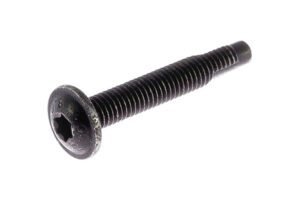 5003026002 - screw RLX M5/80-30 CL8/8  aut
