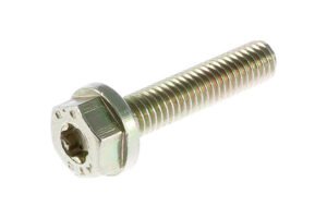 5010544349 - VIS H SPECIA 06,00  1,25 0