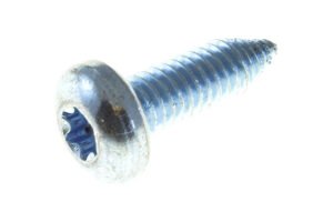 SM00520ADD - 5/16-18x1.00 T40 TORX PANHD THD FORM T/S CA PT GR 5Z