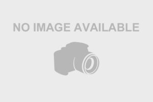 MS00632ADD - 4.6(W)x203.2(L) FIR TREE  CBL STRP PA66 BLK