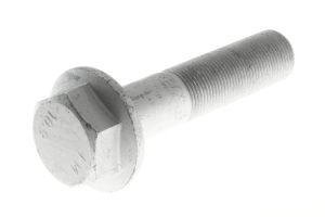 N000000005575 - HEX SCREW
