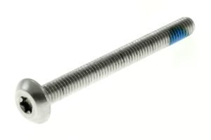 SM00923ADD - 5/16-18x3-1/4 TORX TRUSS HD M/S W/PATCH SST