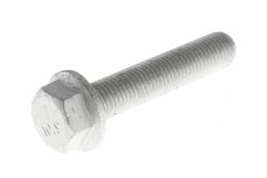 N910105012011 - HEX SCREW