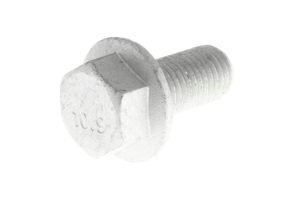 N910105012013 - HEX SCREW