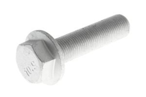 N000000005545 - HEX SCREW M16X1,5X 65